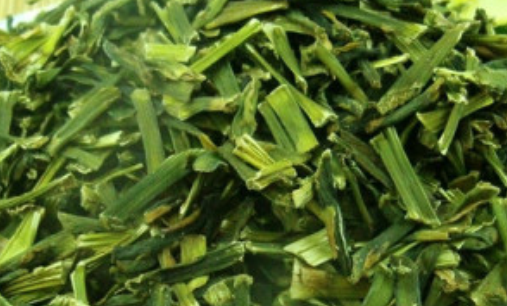 dried asparagus dehydrated asparagus dried asparagus dehydrated asparagus